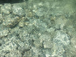 水纹
