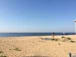 大海  沙滩