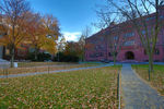 哈佛大学