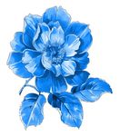 青花瓷图案