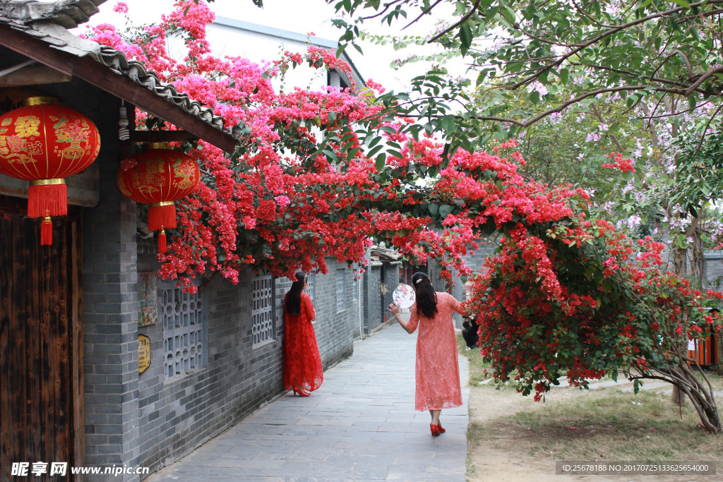 花卉