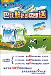 巴氏鲜奶海报