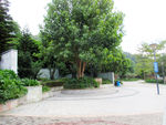 公园风景图