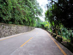 绿色小道路