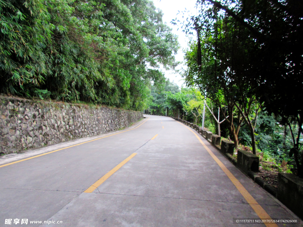 绿色小道路