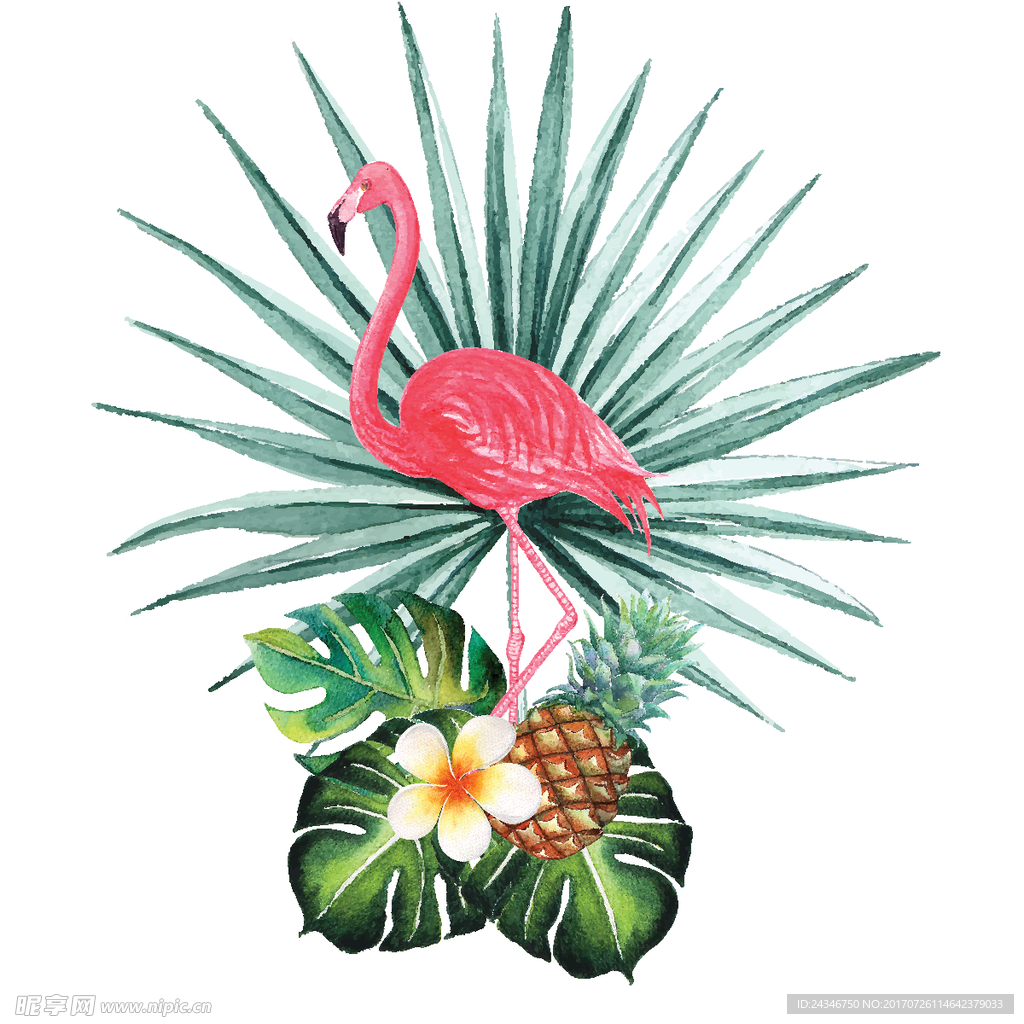 手绘热带植物花卉图案矢量素