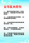 公司制度