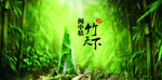 竹天下广告宣传海报