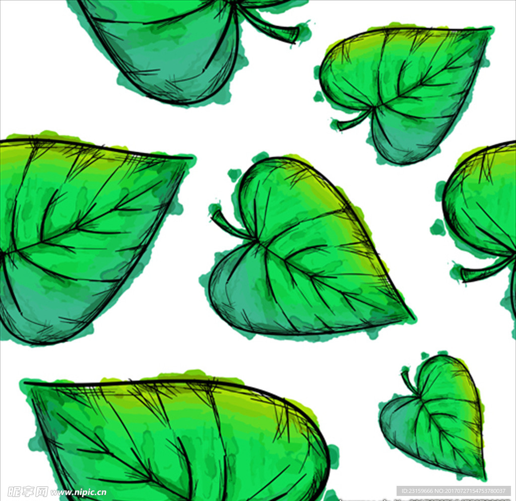 绿色的水彩树叶插图
