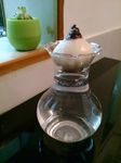 风信子鳞茎