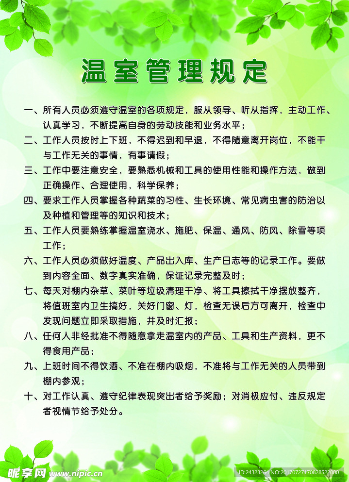绿色背景