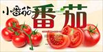 西红柿