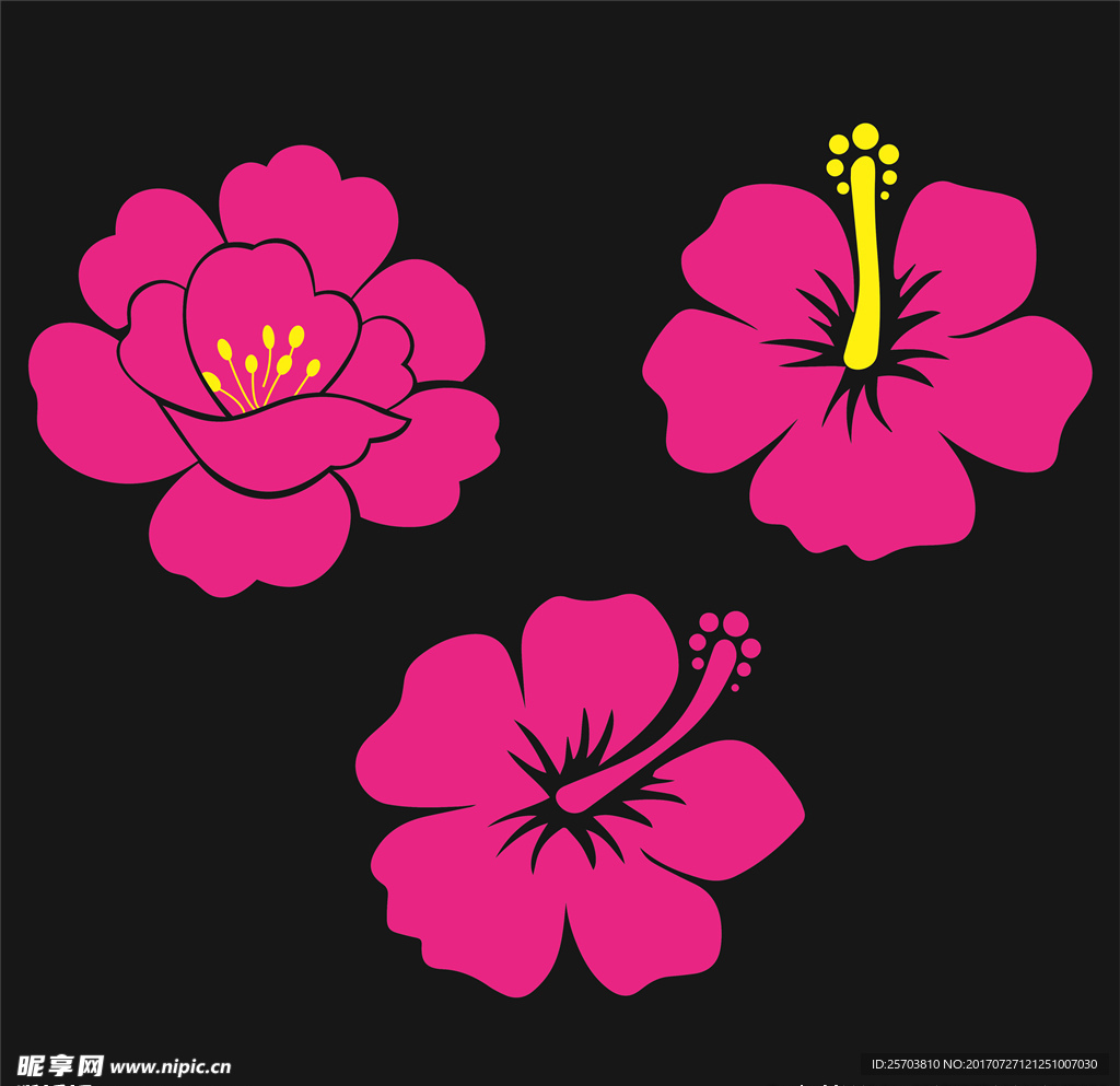 芙蓉