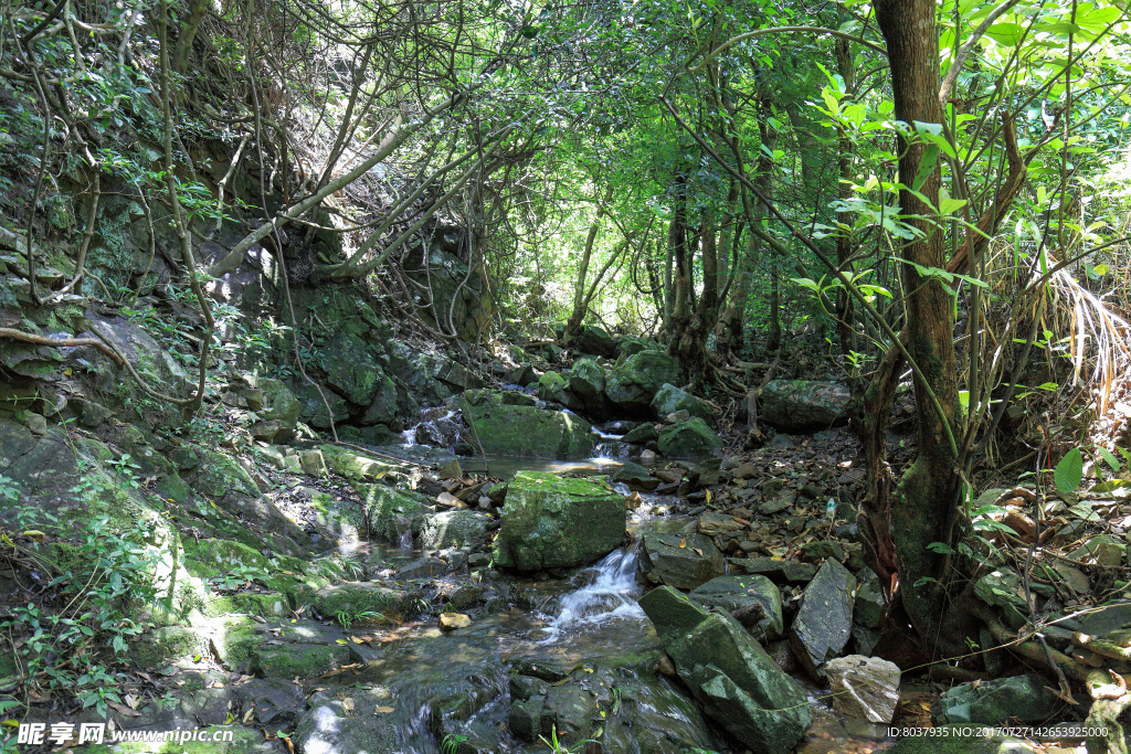 深圳园山风景区