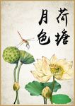 荷塘月色
