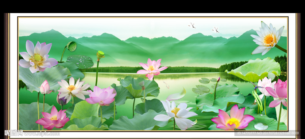 荷花图
