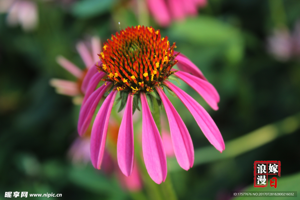 花