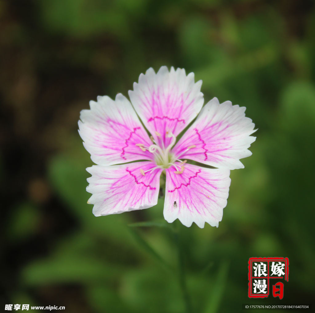 花