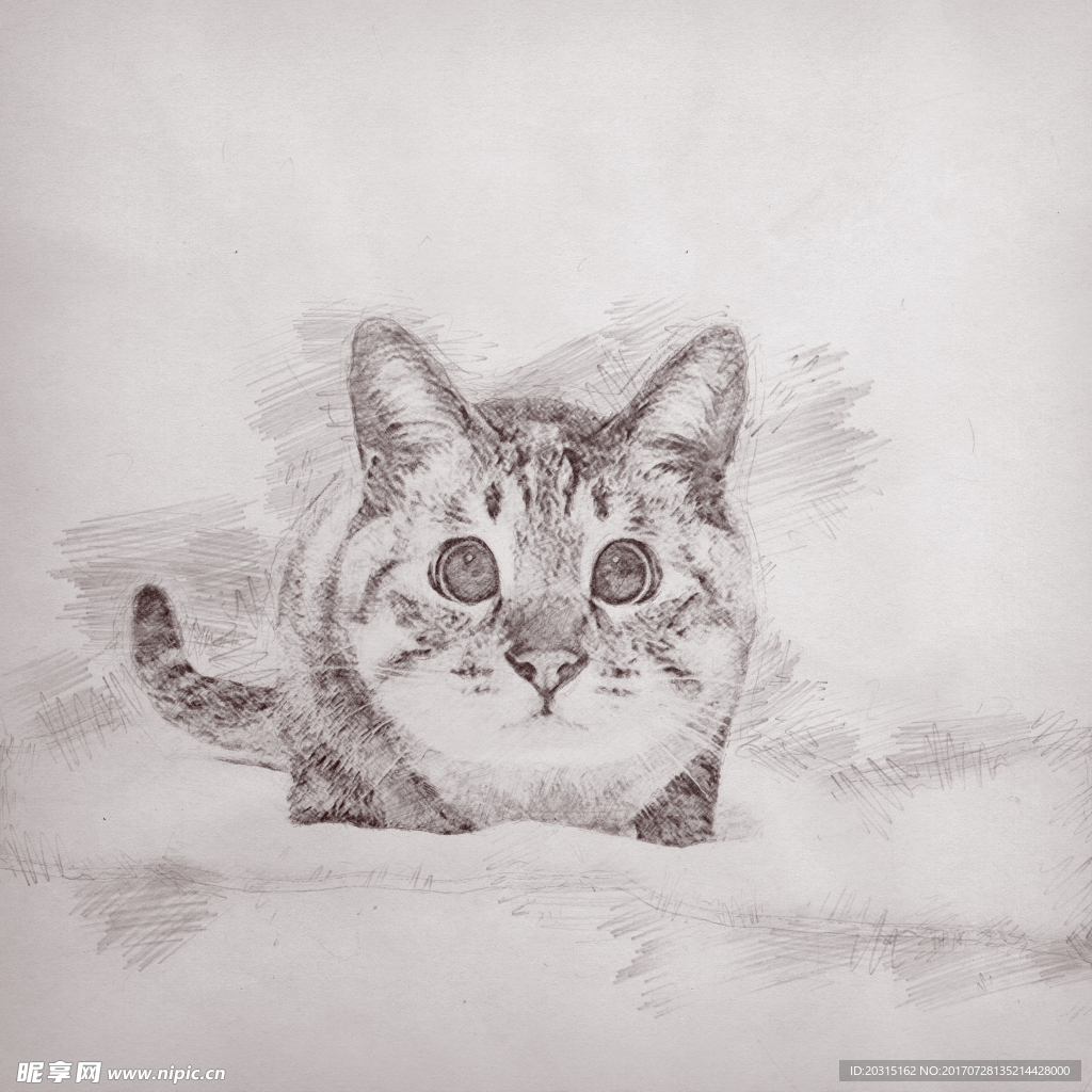 手绘猫星人