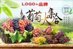 葡萄大集合