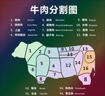 牛肉分割图