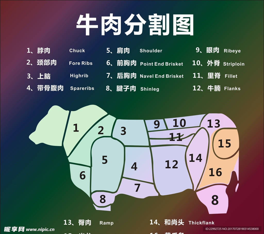 牛肉分割图