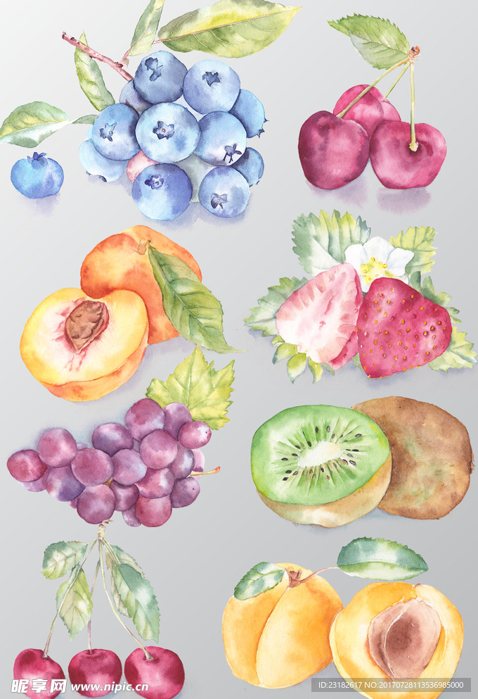 水果插画