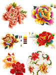 牡丹花大合集