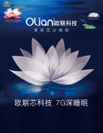 白色荷花莲花美丽绽放