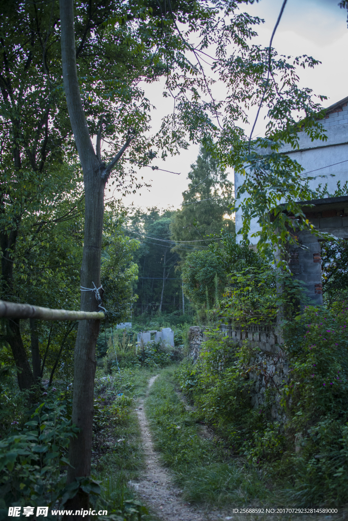 农村小路