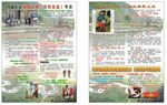 泡脚宣传单页