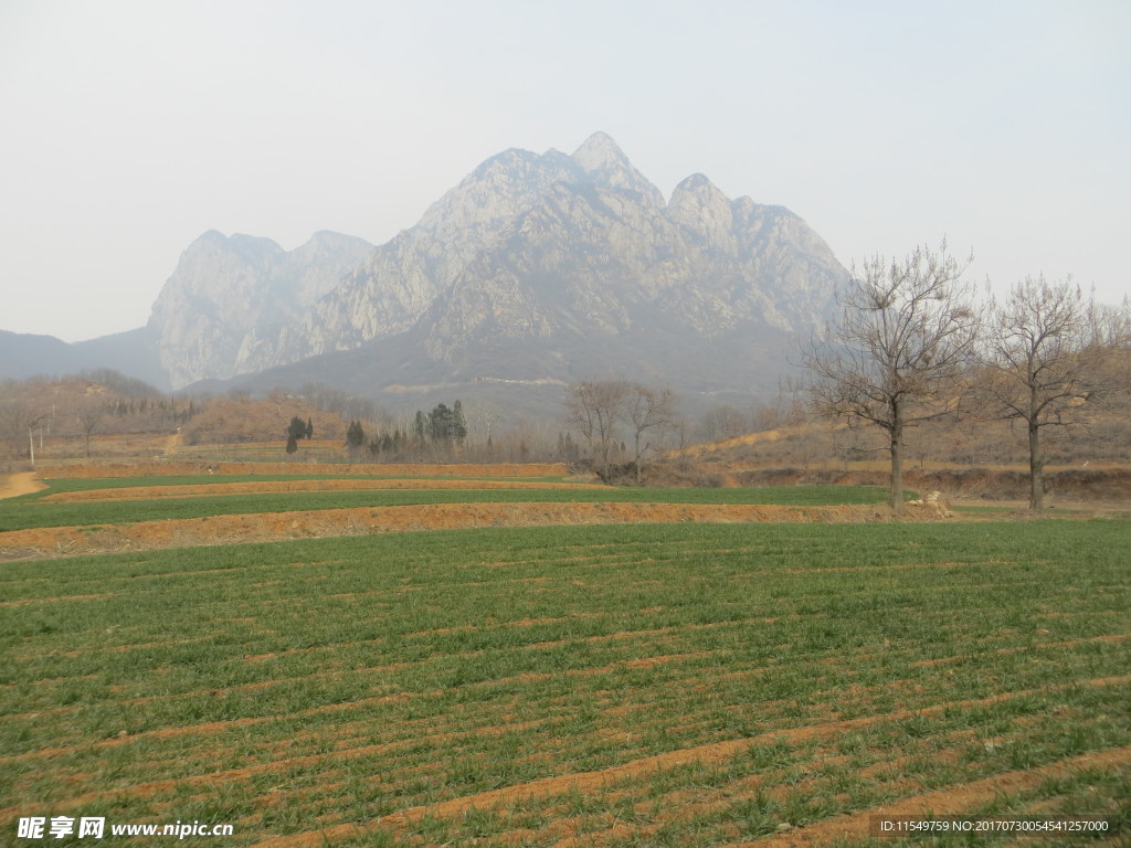 玉寨山春景