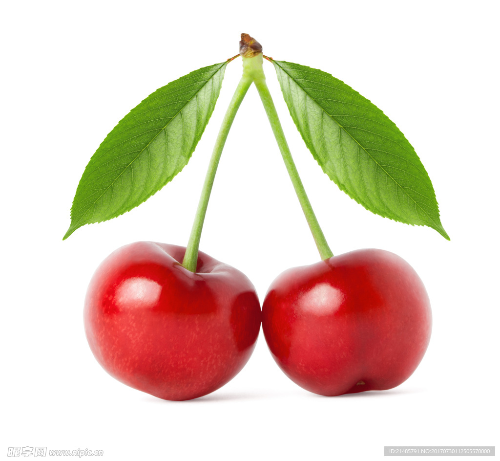 樱桃
