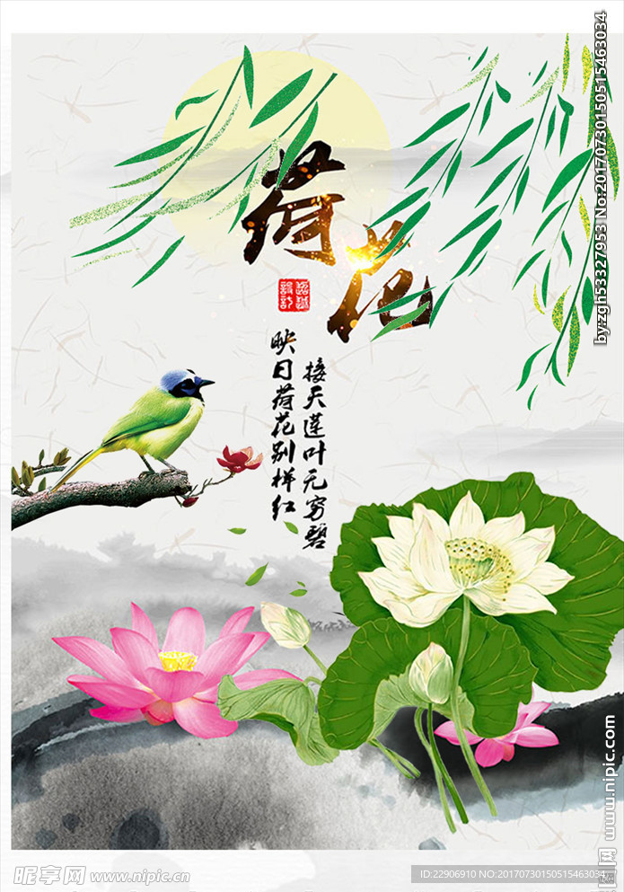 荷花