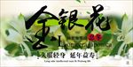 金银花