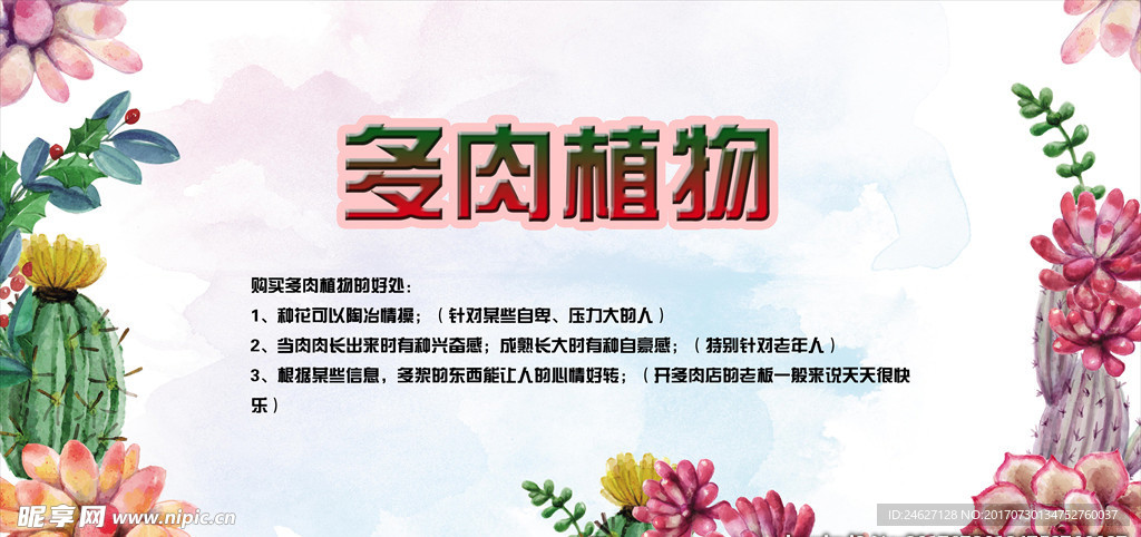 多肉植物