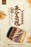 五谷杂粮食物海报展板