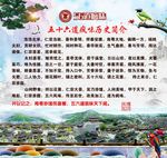 五十六道疯味