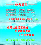 国网英大人寿