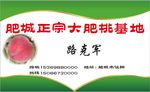 桃子名片