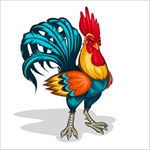 手绘卡通公鸡插图