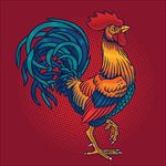 卡通公鸡插图