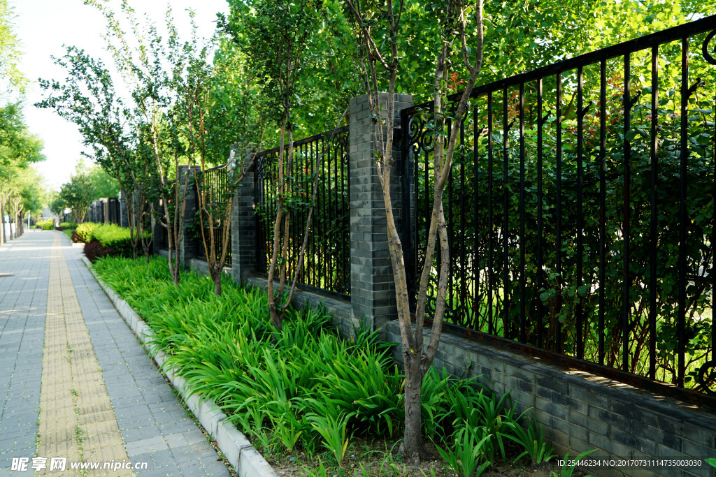 绿植栏杆