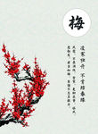 梅花图 封面图 中国风 广告图