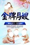 金牌月嫂宣传海报
