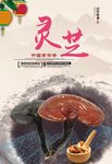 中国风灵芝宣传展板海报