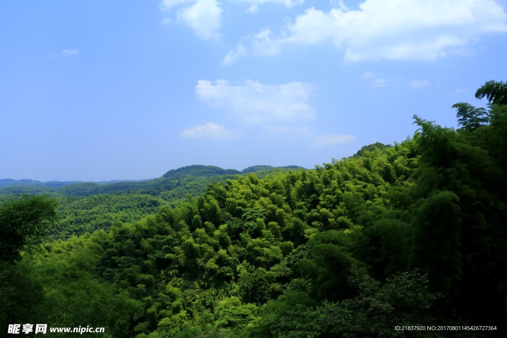 大旺竹海景区