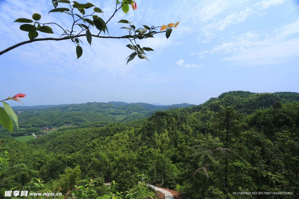 大旺竹海景区风景