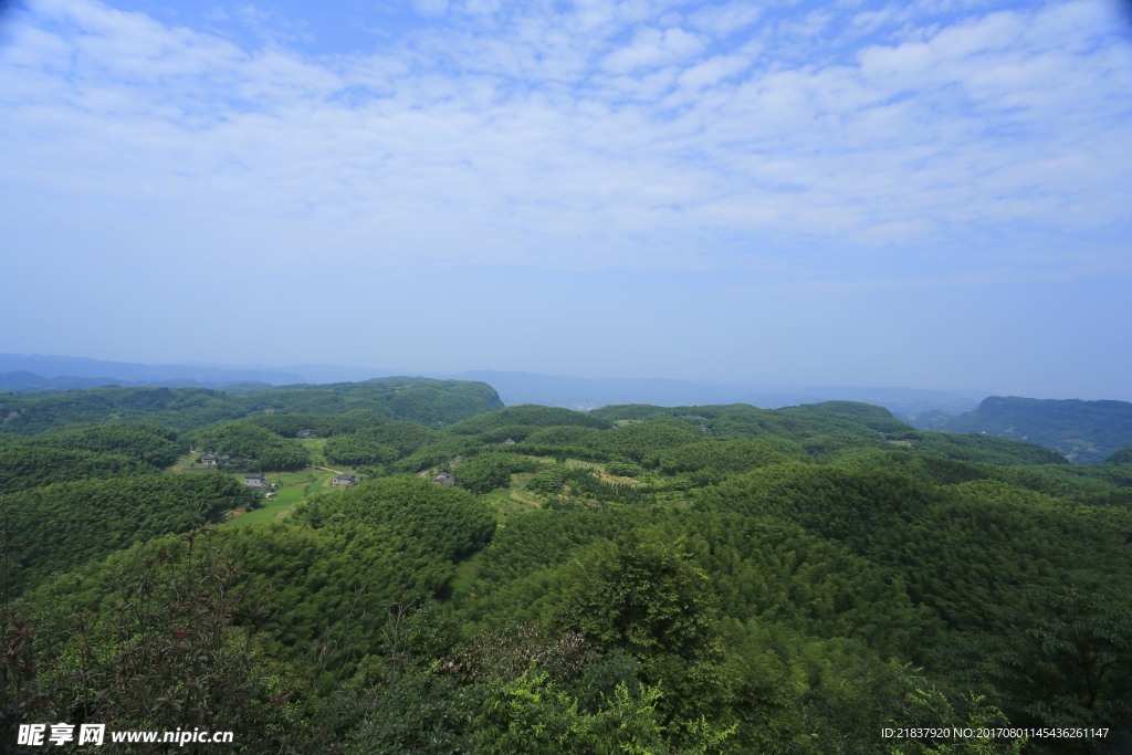 风景 竹海