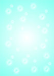 透明气泡